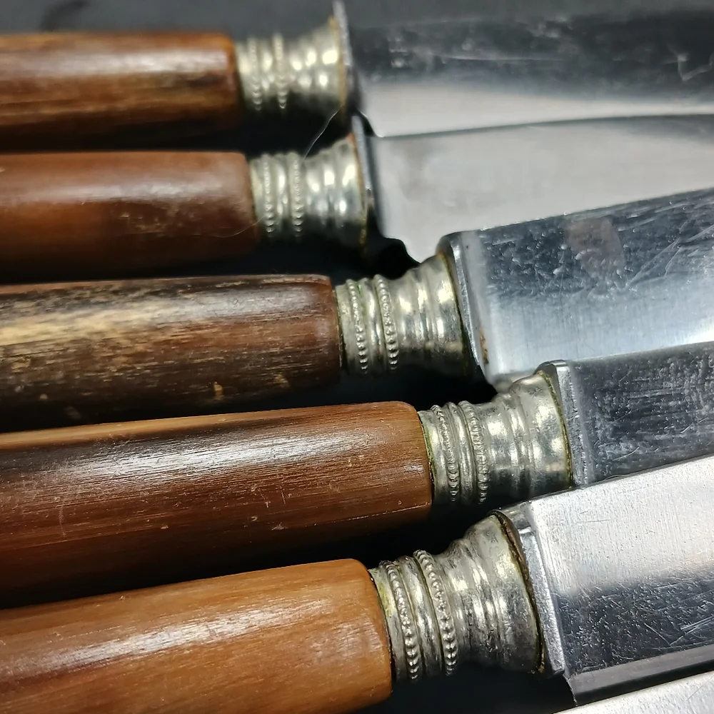 6 Vintage Dutch Antler/Horn Handle Sharp DINNER KNIVES EUC